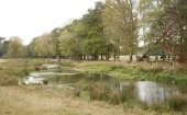 Brabantse Wal
